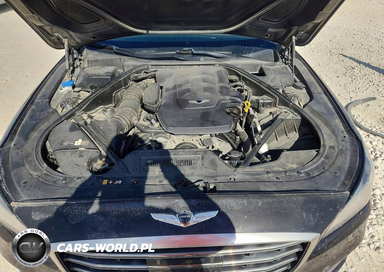 2018 Genesis G80 3.8 VIN:KMHGN4JEXJU238929 - 11