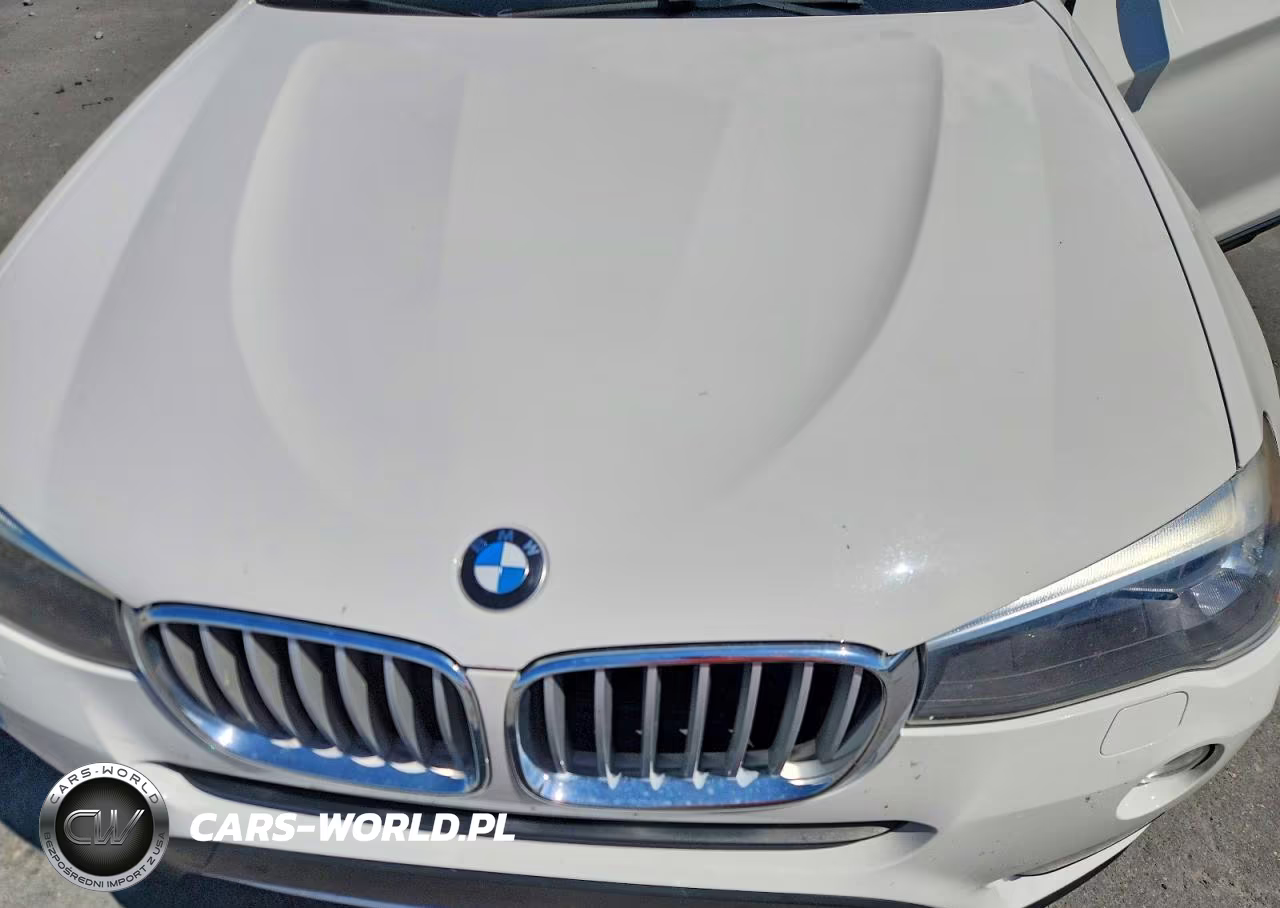 2017 BMW X3 Sdrive28I VIN:5UXWZ7C38H0X39058 - 12