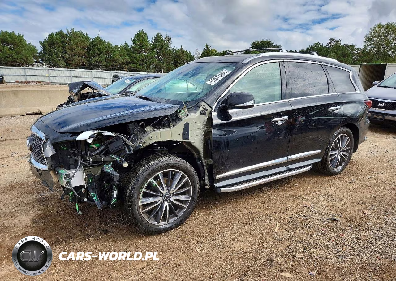 2019 Infiniti Qx60 Pure VIN:5N1DL0MM8KC513113 - 1