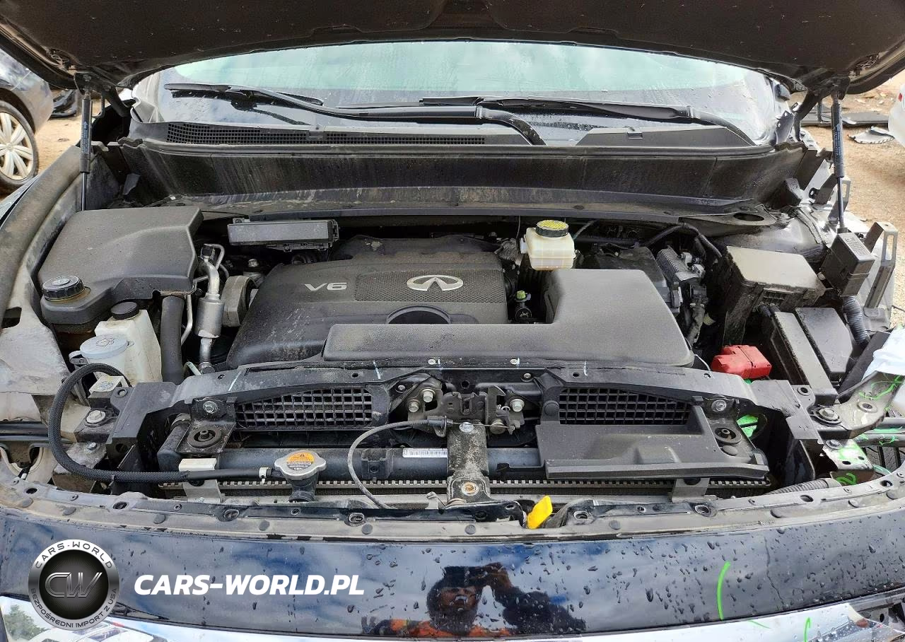 2019 Infiniti Qx60 Pure VIN:5N1DL0MM8KC513113 - 12