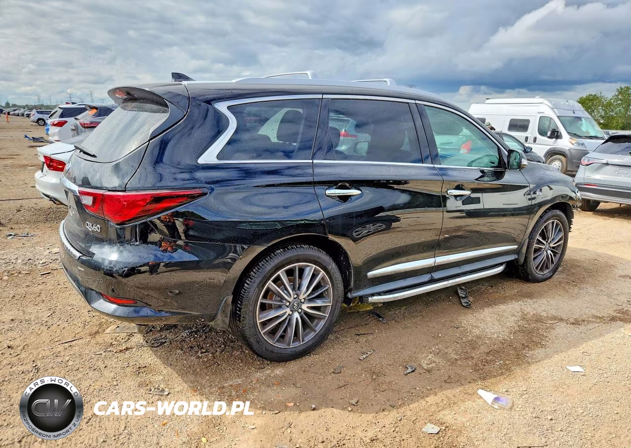 2019 Infiniti Qx60 Pure VIN:5N1DL0MM8KC513113 - 3