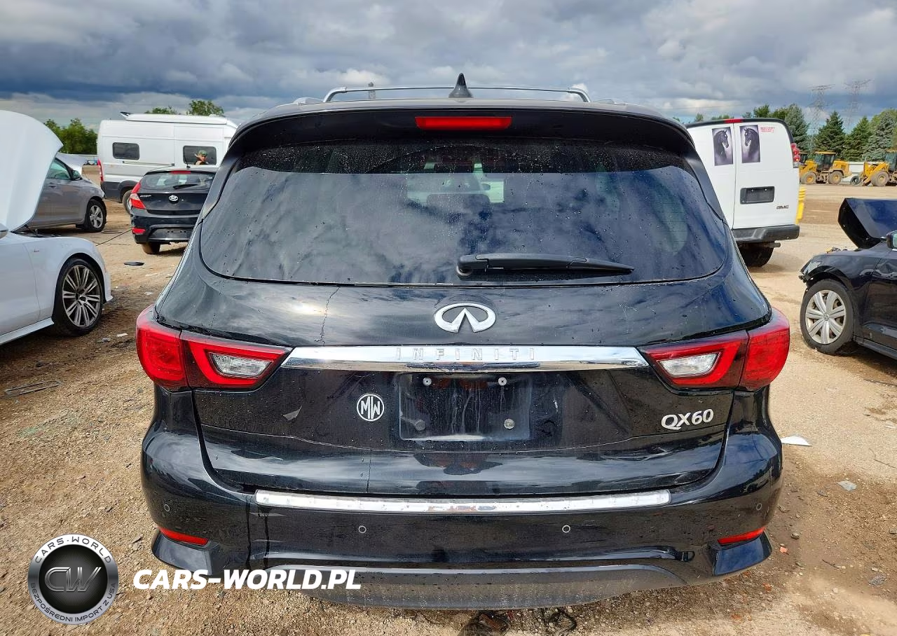 2019 Infiniti Qx60 Pure VIN:5N1DL0MM8KC513113 - 6