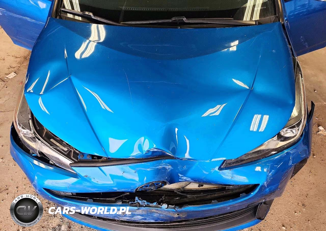 2019 Toyota Prius Le VIN:JTDKARFU1K3092046 - 11