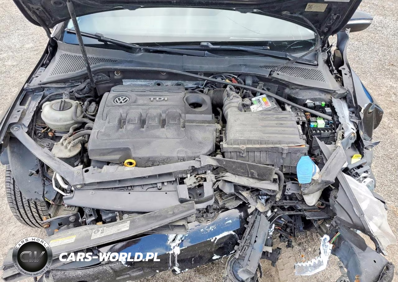 2015 Volkswagen Golf Sportwagen Tdi S VIN:3VWCA7AU3FM505067 - 11