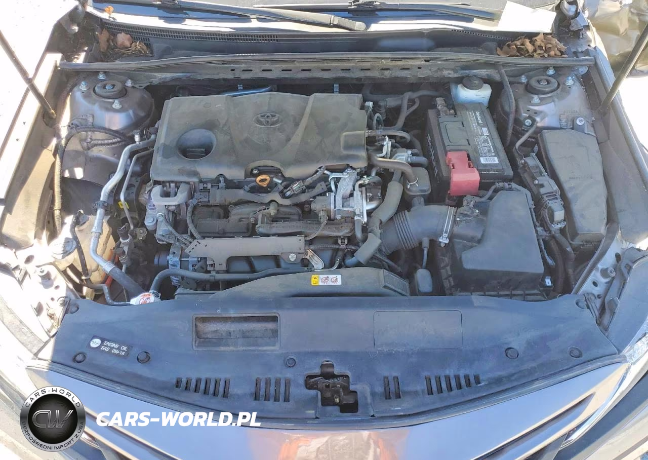 2019 Toyota Camry Se VIN:4T1B11HK0KU176880 - 11
