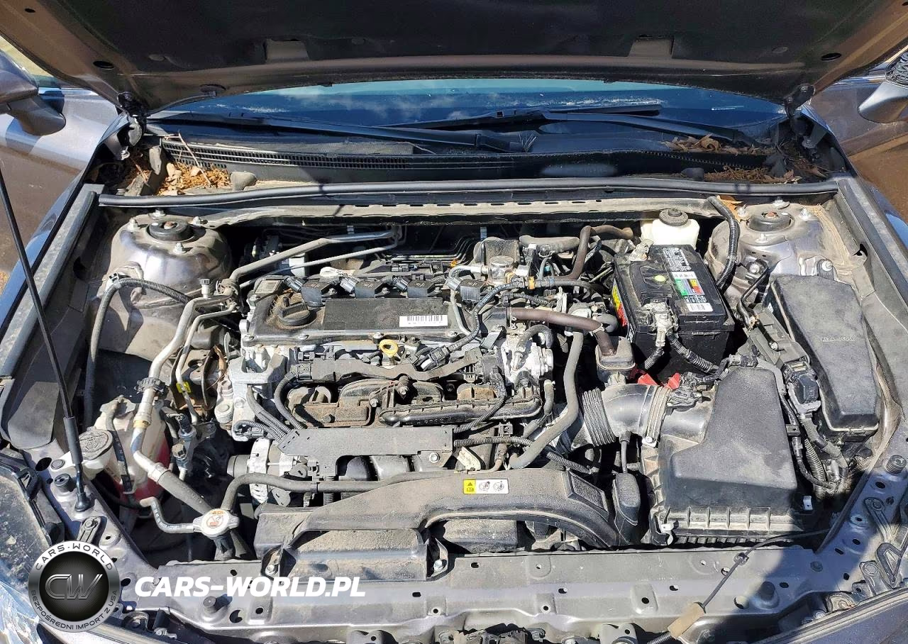 2023 Toyota Camry Le VIN:4T1C11AK0PU125966 - 11