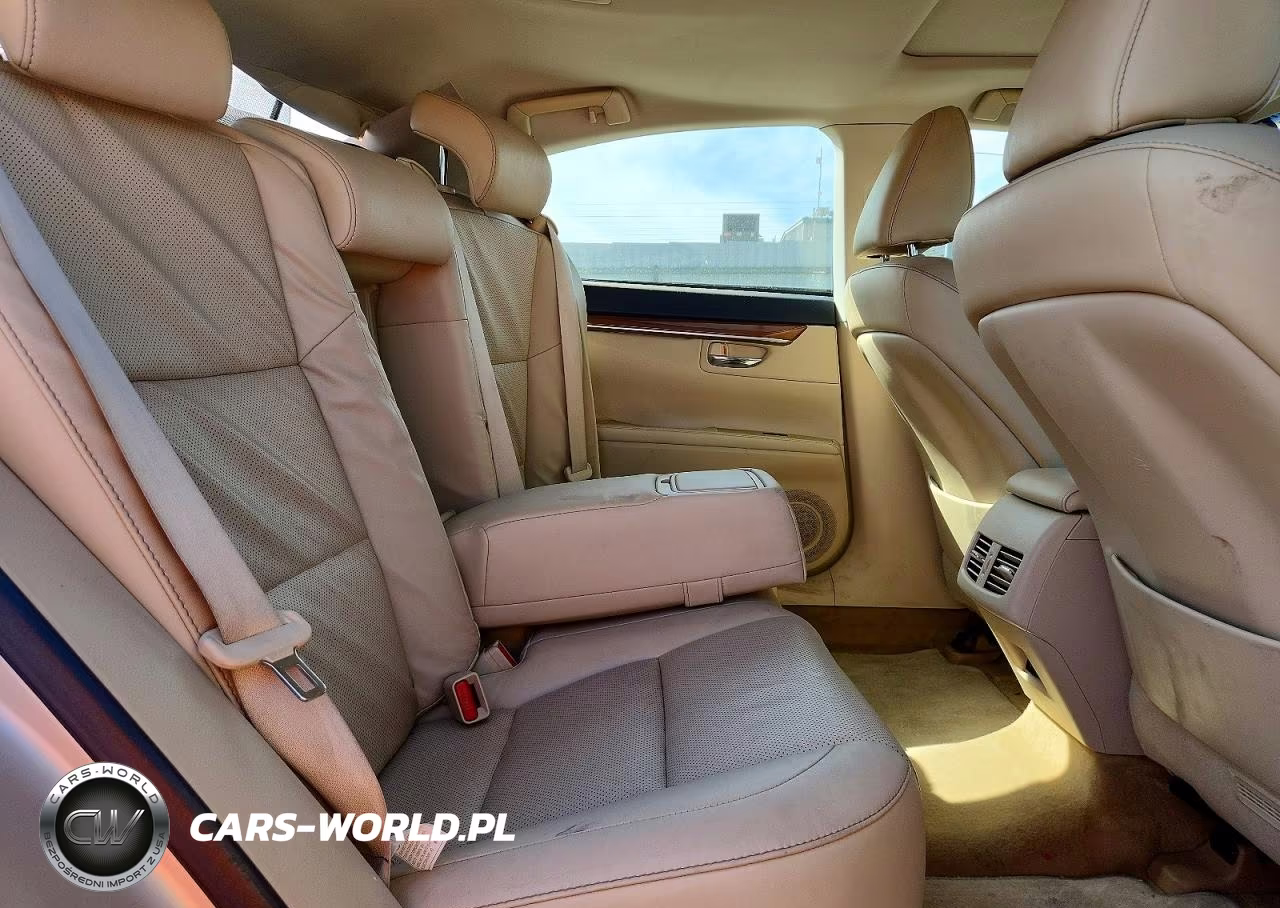 2014 Lexus Es 300H VIN:JTHBW1GG6E2065204 - 10