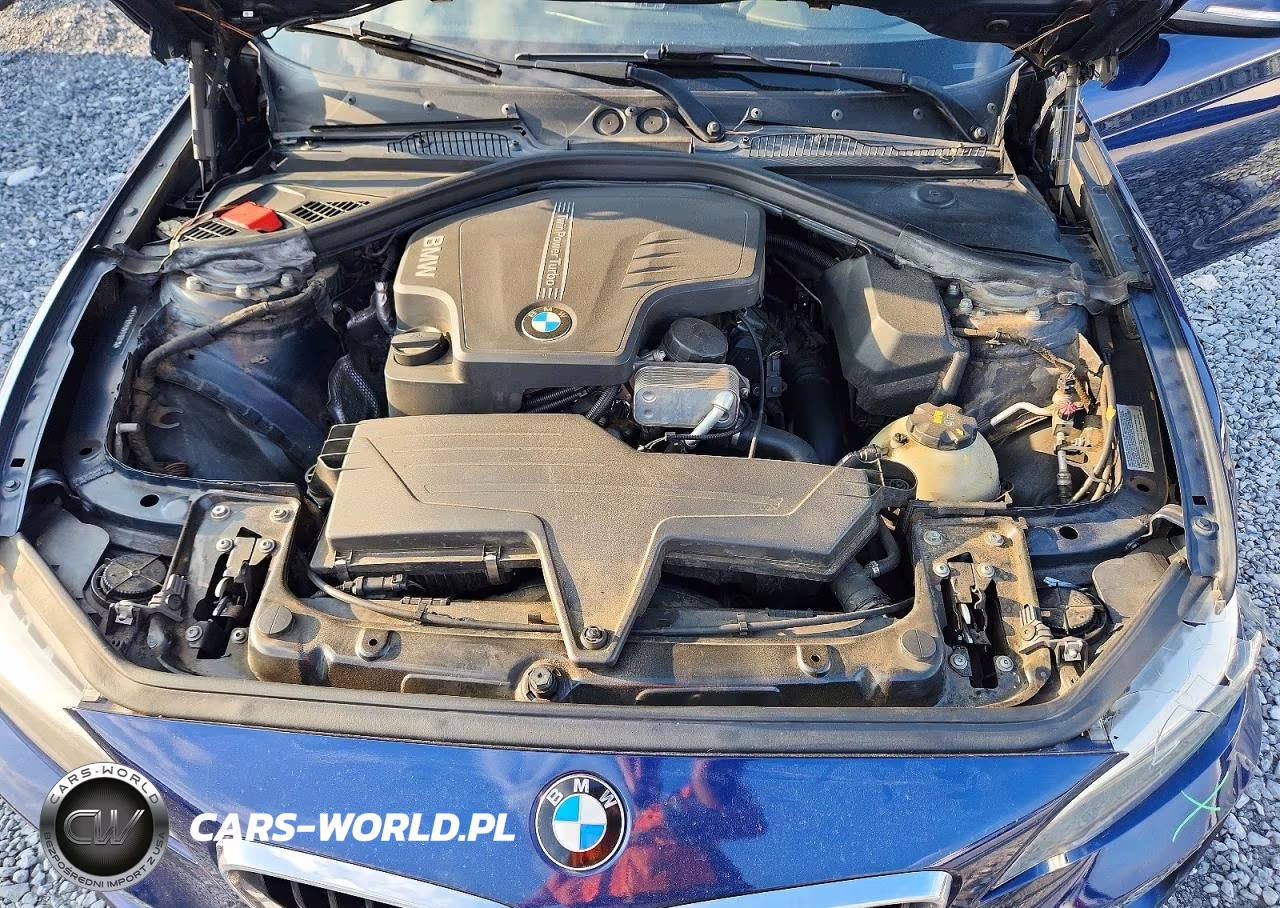 2016 BMW 228 I Sulev VIN:WBA1F9C5XGV546040 - 11