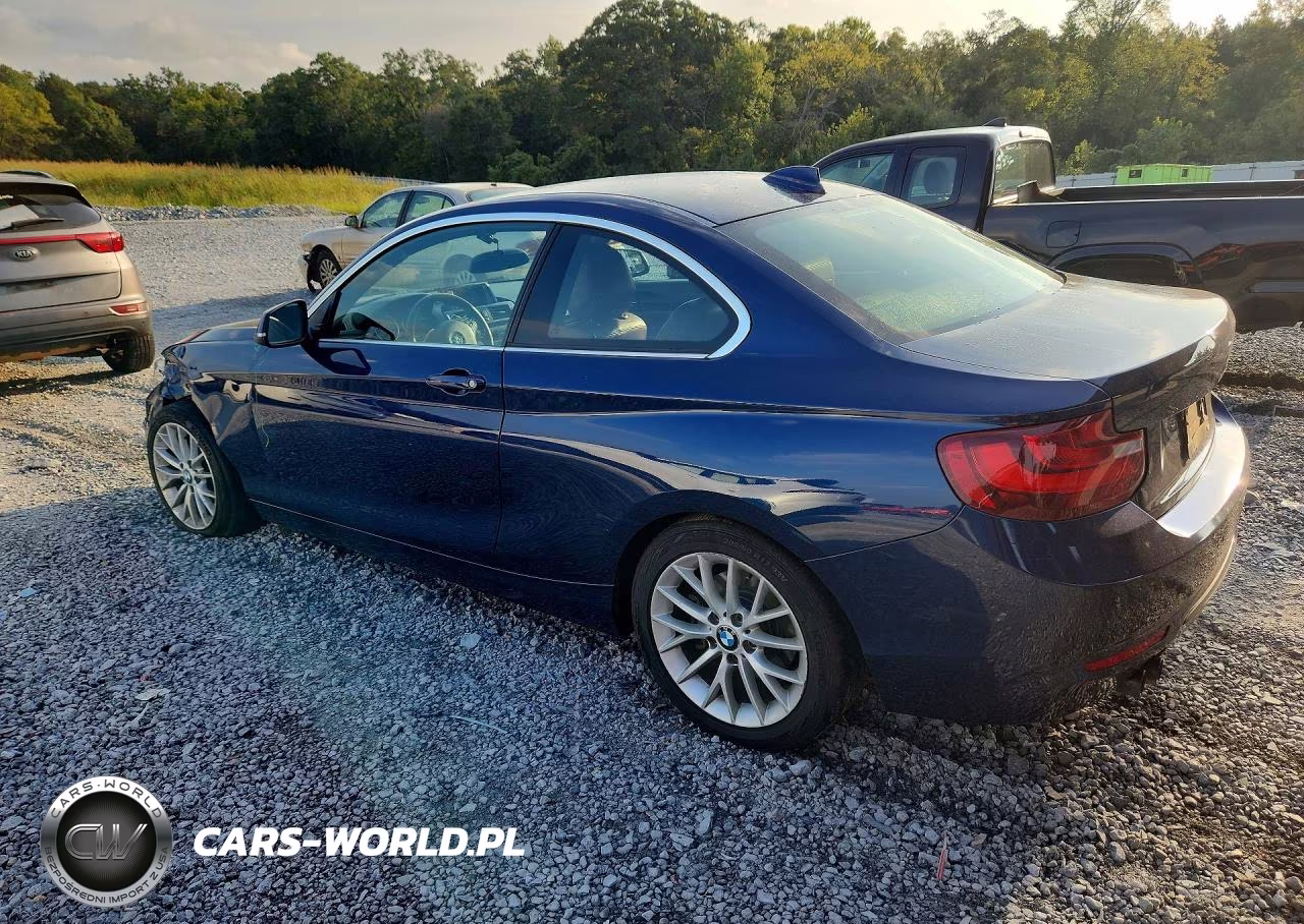2016 BMW 228 I Sulev VIN:WBA1F9C5XGV546040 - 2