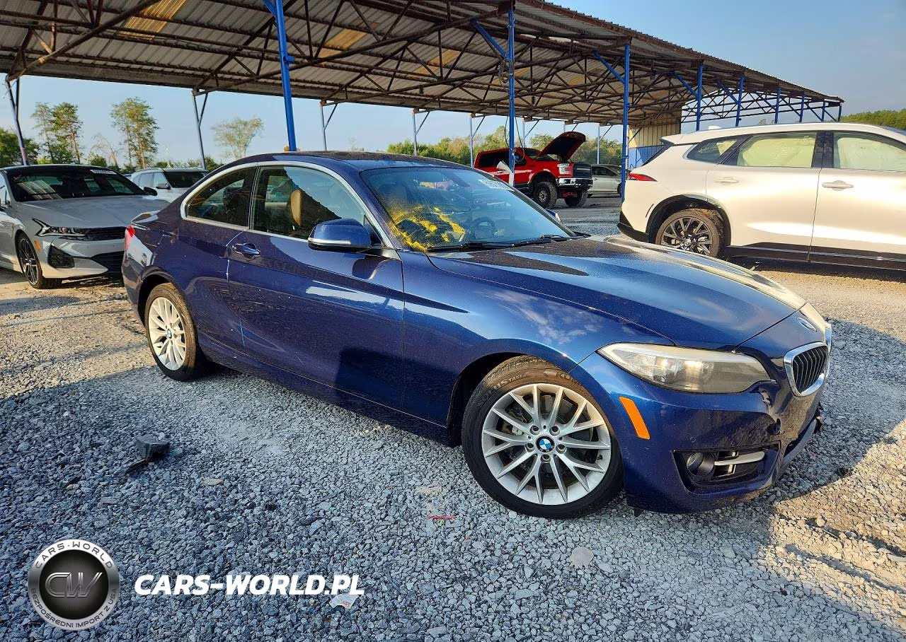 2016 BMW 228 I Sulev VIN:WBA1F9C5XGV546040 - 4