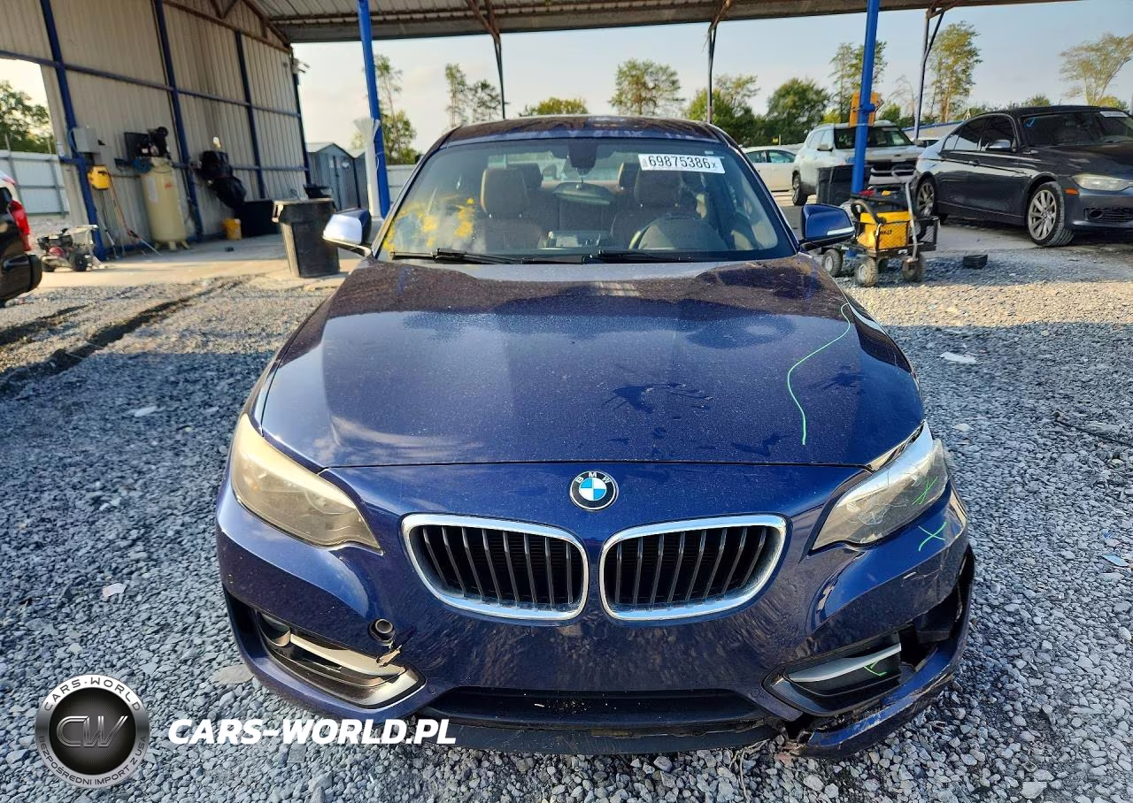 2016 BMW 228 I Sulev VIN:WBA1F9C5XGV546040 - 5
