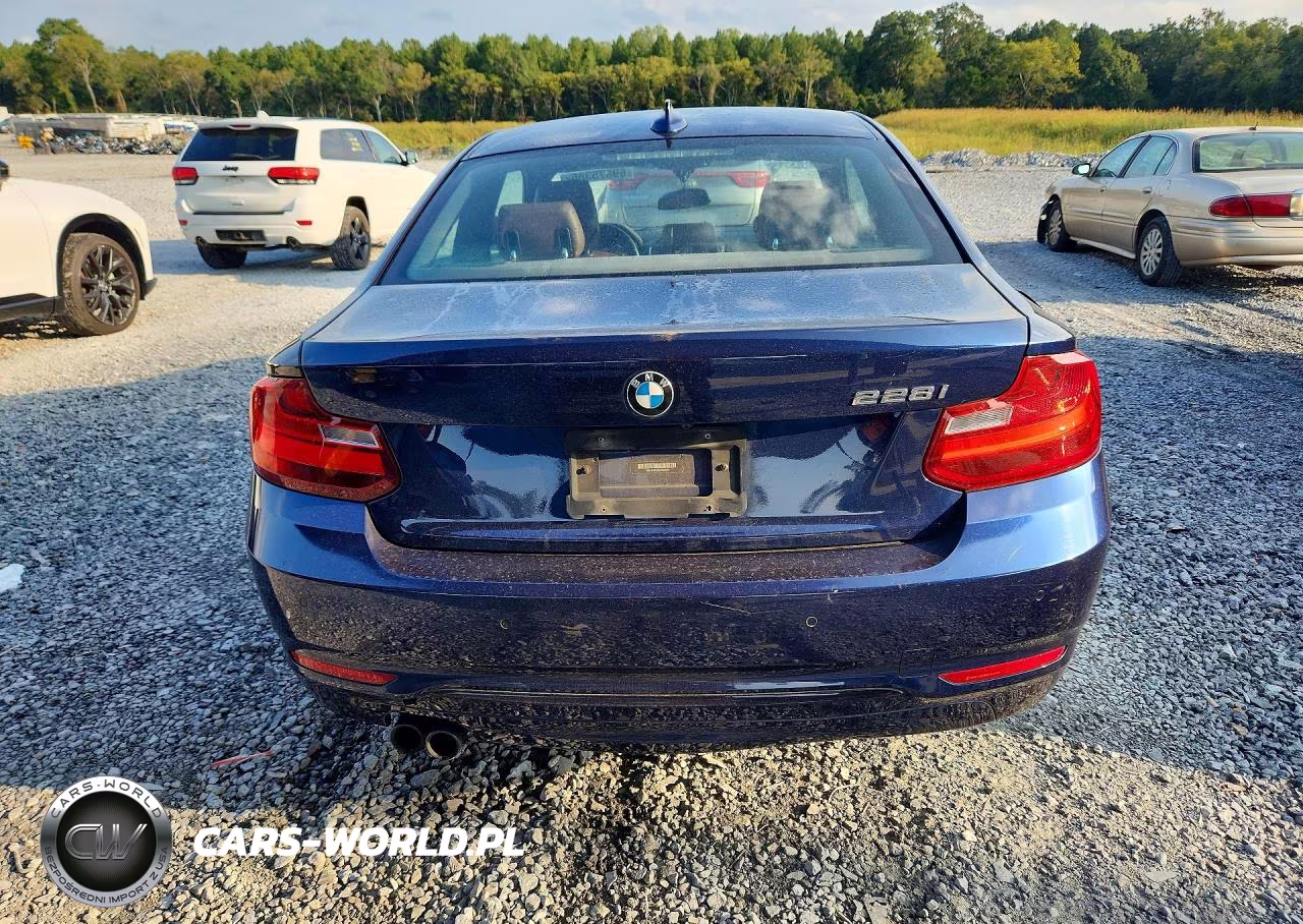 2016 BMW 228 I Sulev VIN:WBA1F9C5XGV546040 - 6