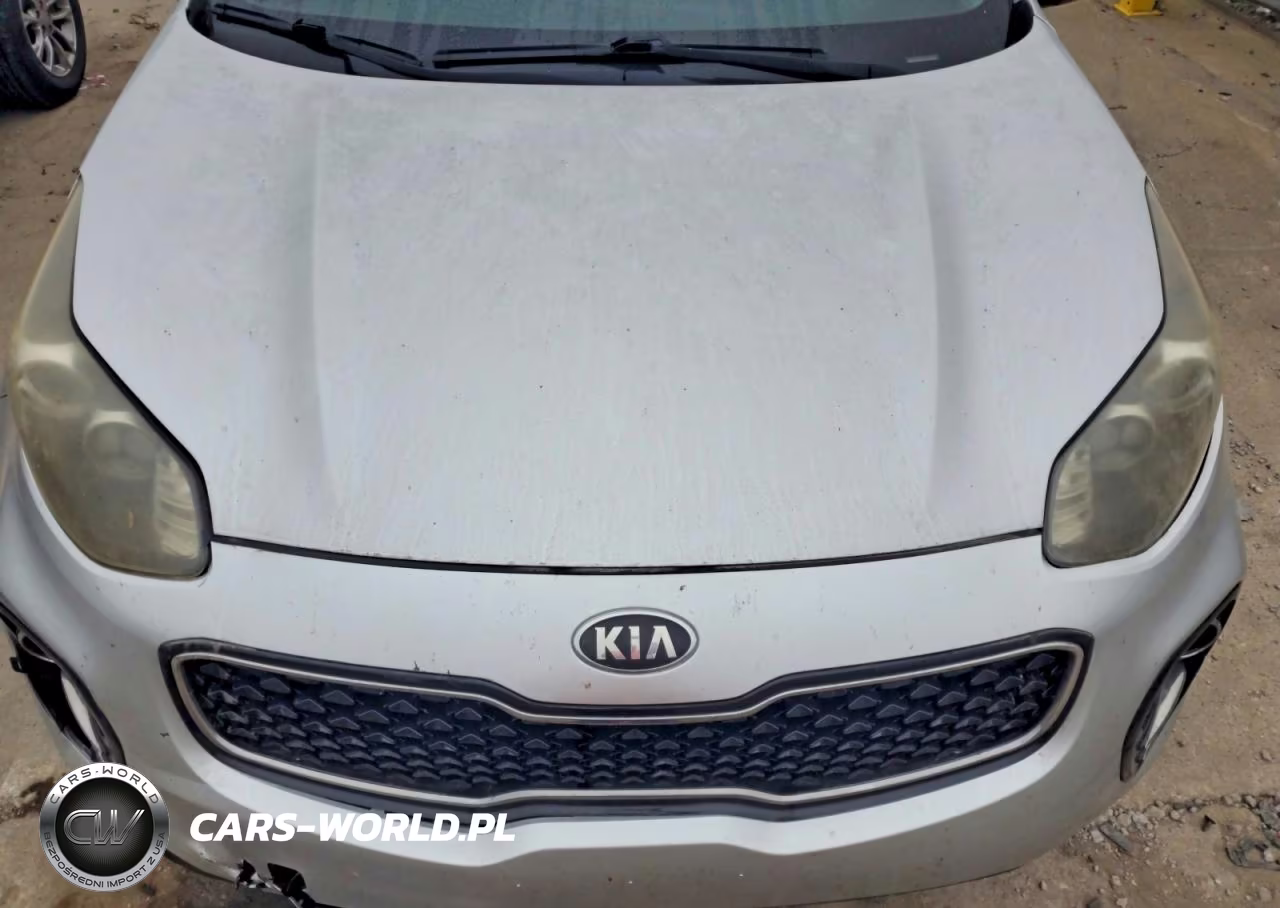 2017 Kia Sportage Lx VIN:KNDPMCAC0H7046721 - 12
