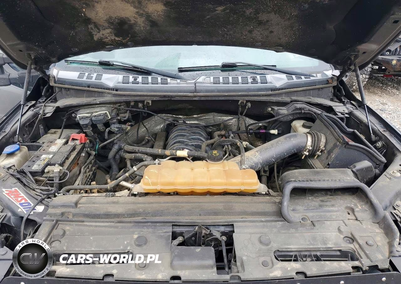 2017 Ford F150 Supercrew VIN:1FTEW1EF5HKD22673 - 11