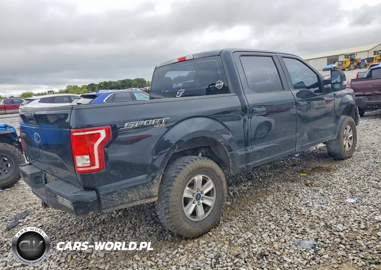 2017 Ford F150 Supercrew VIN:1FTEW1EF5HKD22673 - 3
