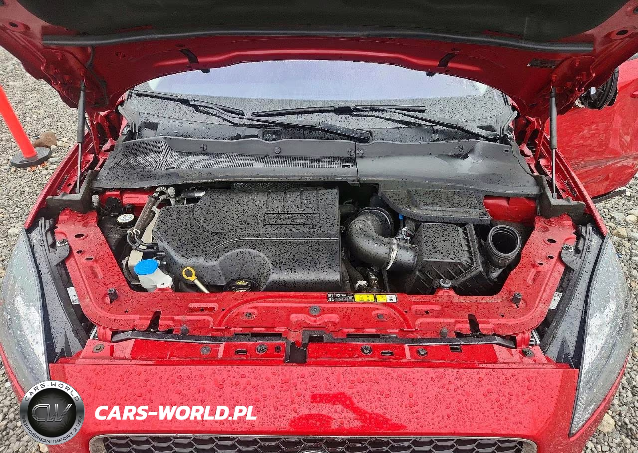 2019 Jaguar E-Pace S VIN:SADFJ2FX1K1Z47962 - 12