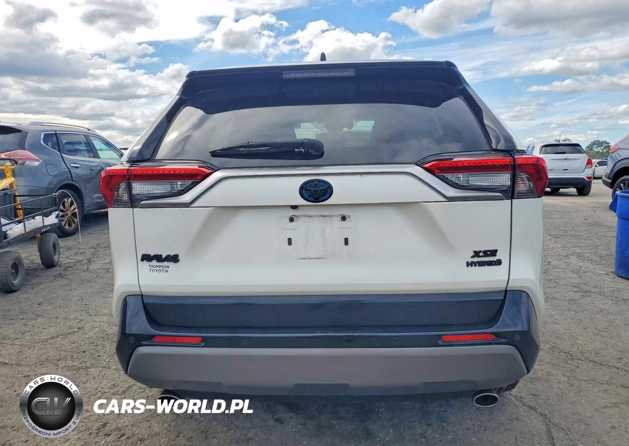 2019 Toyota Rav4 Xse VIN:JTMEWRFV6KJ021976 - 6