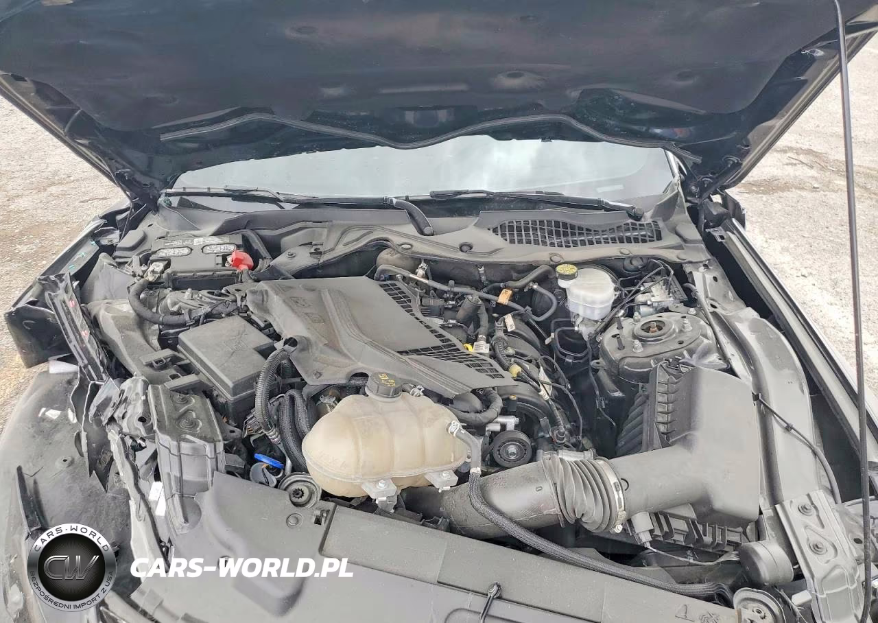 2023 Ford Mustang VIN:1FA6P8THXP5101720 - 11