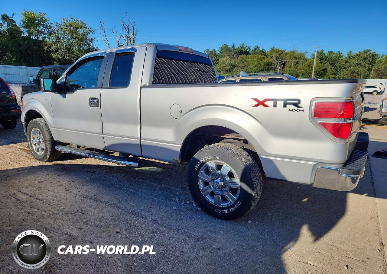 2010 Ford F150 Super Cab VIN:1FTEX1E87AFC98700 - 2