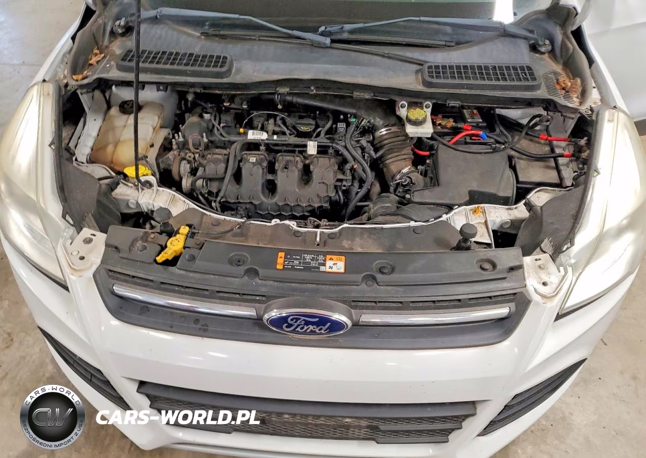 2014 Ford Escape Se VIN:1FMCU9G97EUD59433 - 12