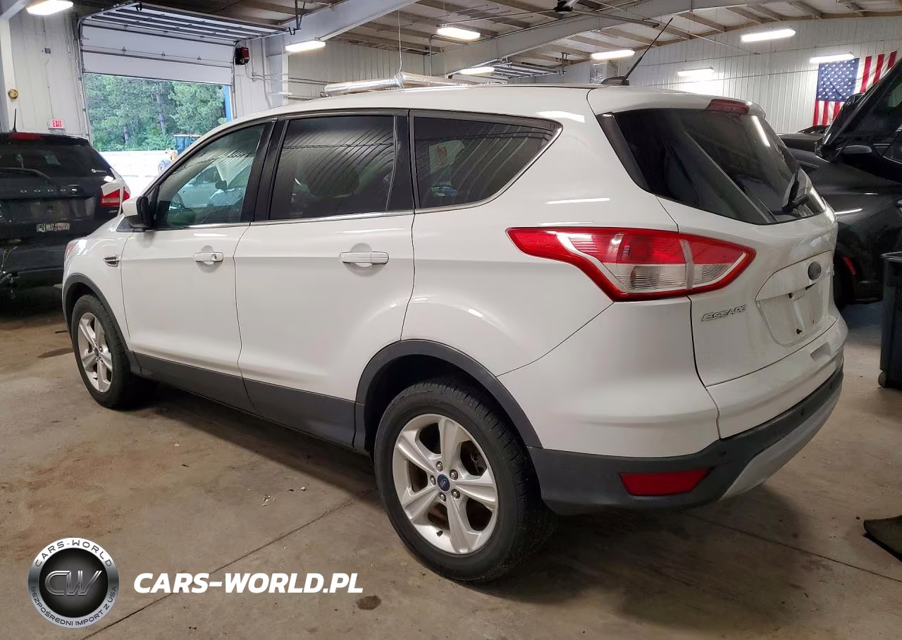 2014 Ford Escape Se VIN:1FMCU9G97EUD59433 - 2