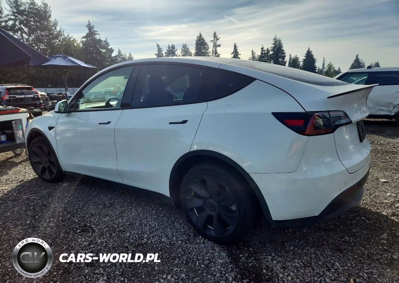 2021 Tesla Model Y VIN:5YJYGDEEXMF198281 - 2