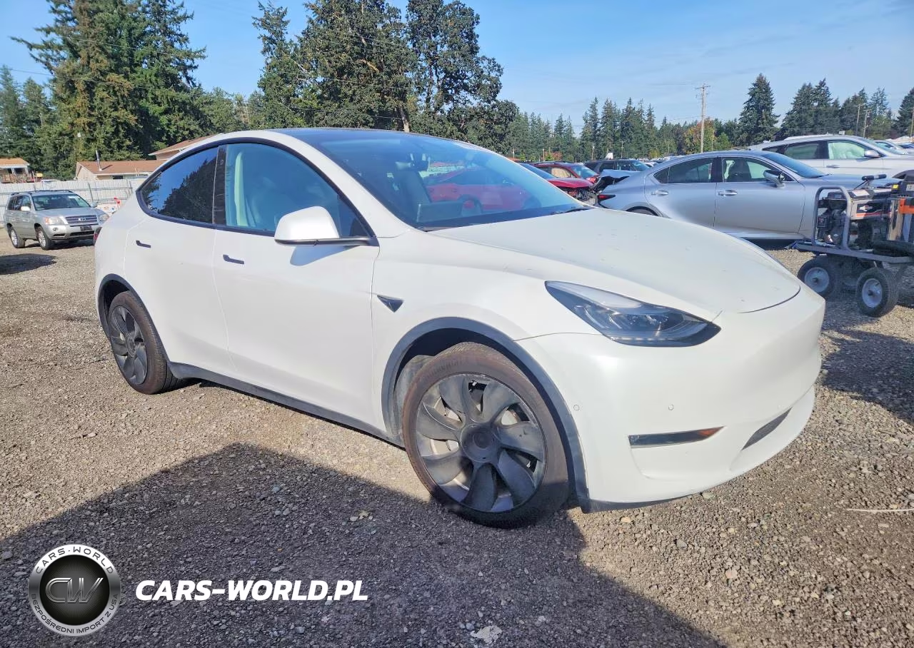 2021 Tesla Model Y VIN:5YJYGDEEXMF198281 - 4