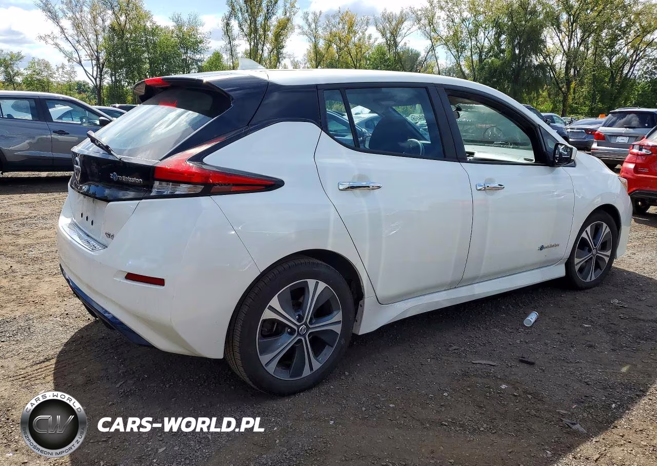 2018 Nissan Leaf Sv VIN:1N4AZ1CPXJC306122 - 3