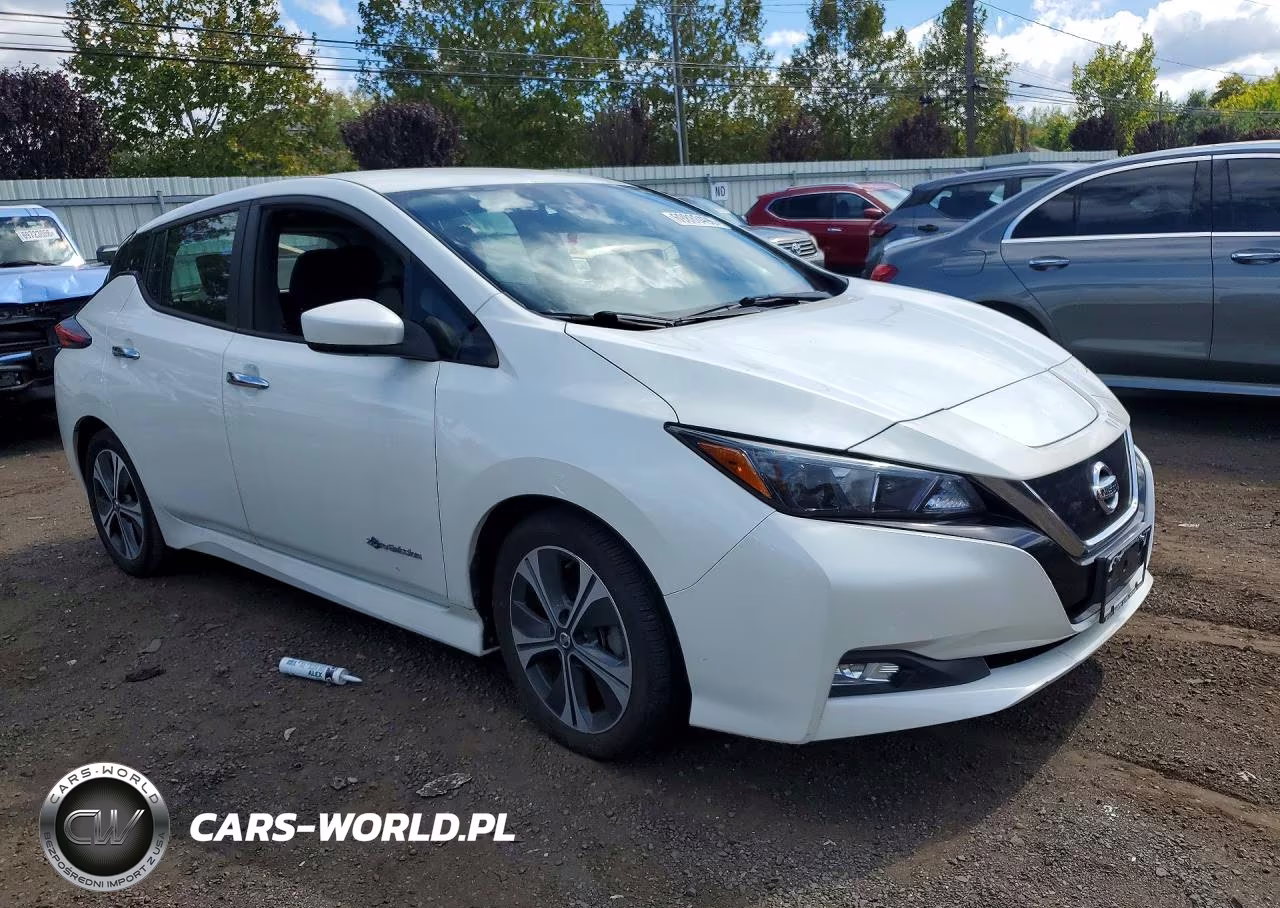 2018 Nissan Leaf Sv VIN:1N4AZ1CPXJC306122 - 4