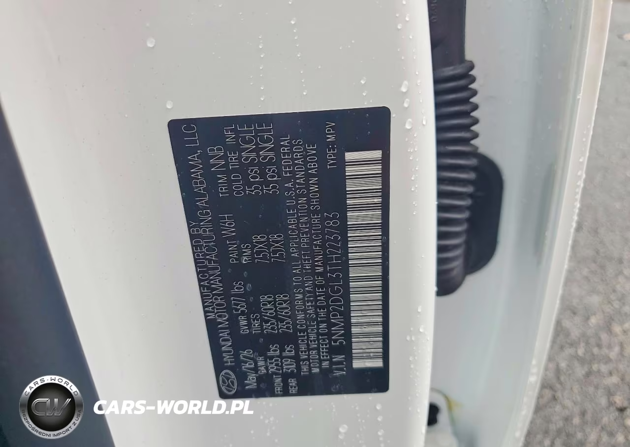 2026 Hyundai Santa Fe Sel VIN:5NMP2DGL3TH223783 - 12