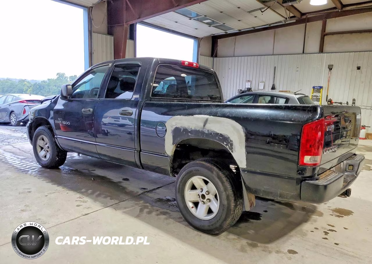 2002 Dodge Ram 1500 VIN:1D7HU18N02J167331 - 2