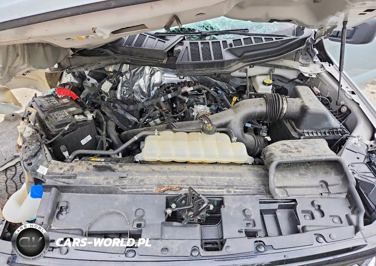 2025 Ford F150 Xlt VIN:1FTEW3LP7SKE16732 - 11