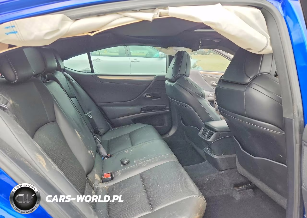 2022 Lexus Es 300H F Sport VIN:58AGA1C17NU018652 - 10