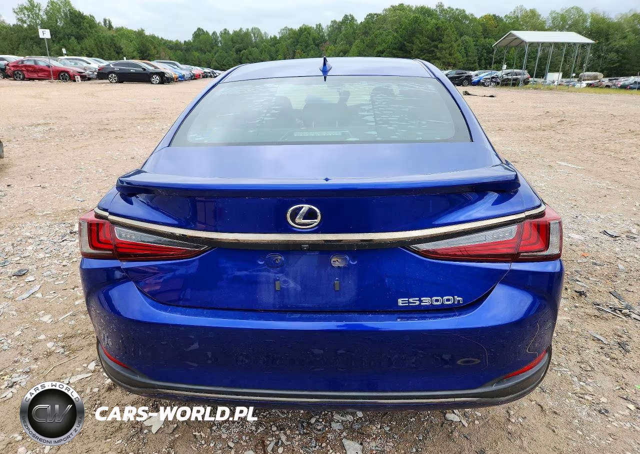 2022 Lexus Es 300H F Sport VIN:58AGA1C17NU018652 - 6