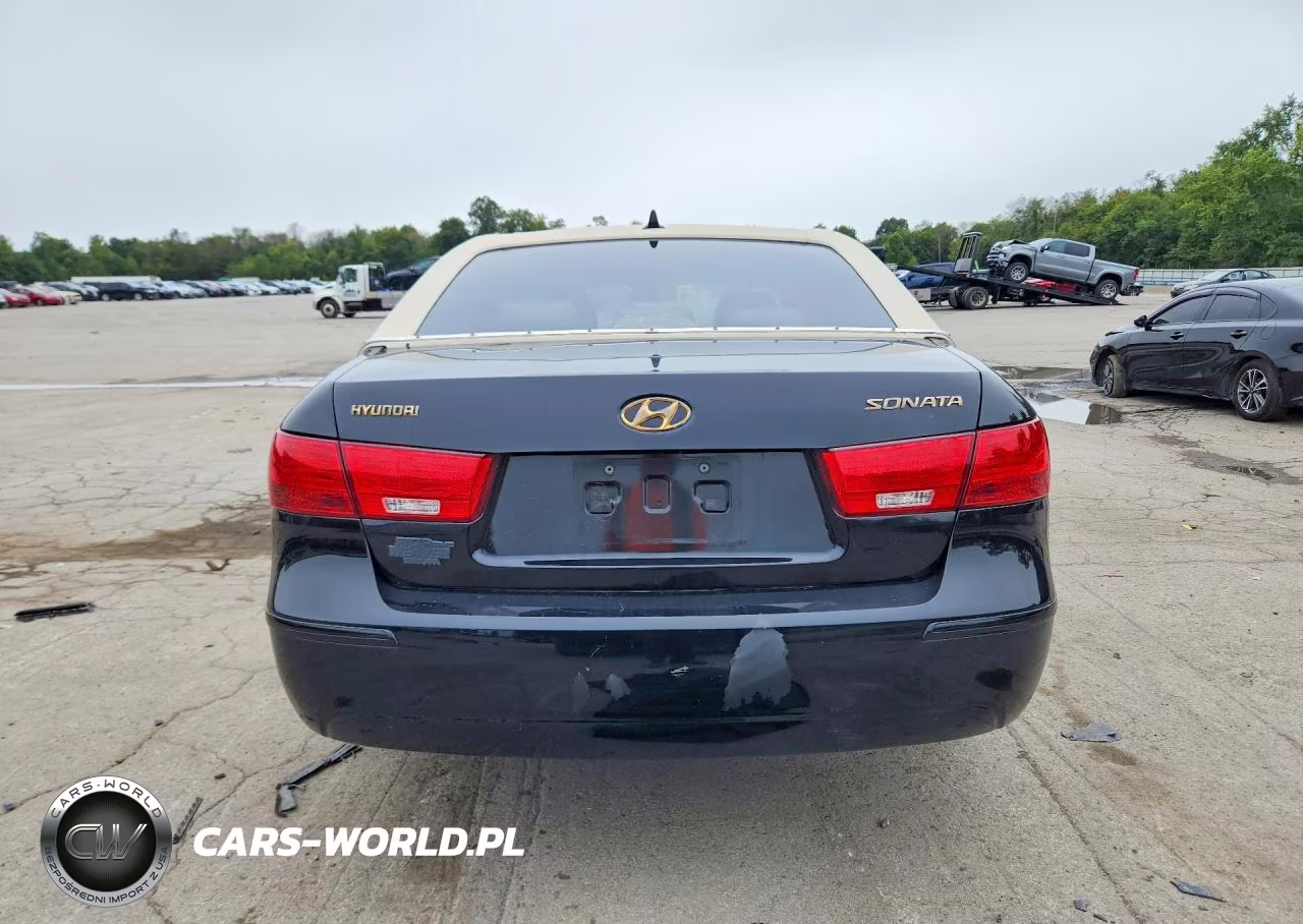 2010 Hyundai Sonata Gls VIN:5NPET4AC5AH608467 - 6
