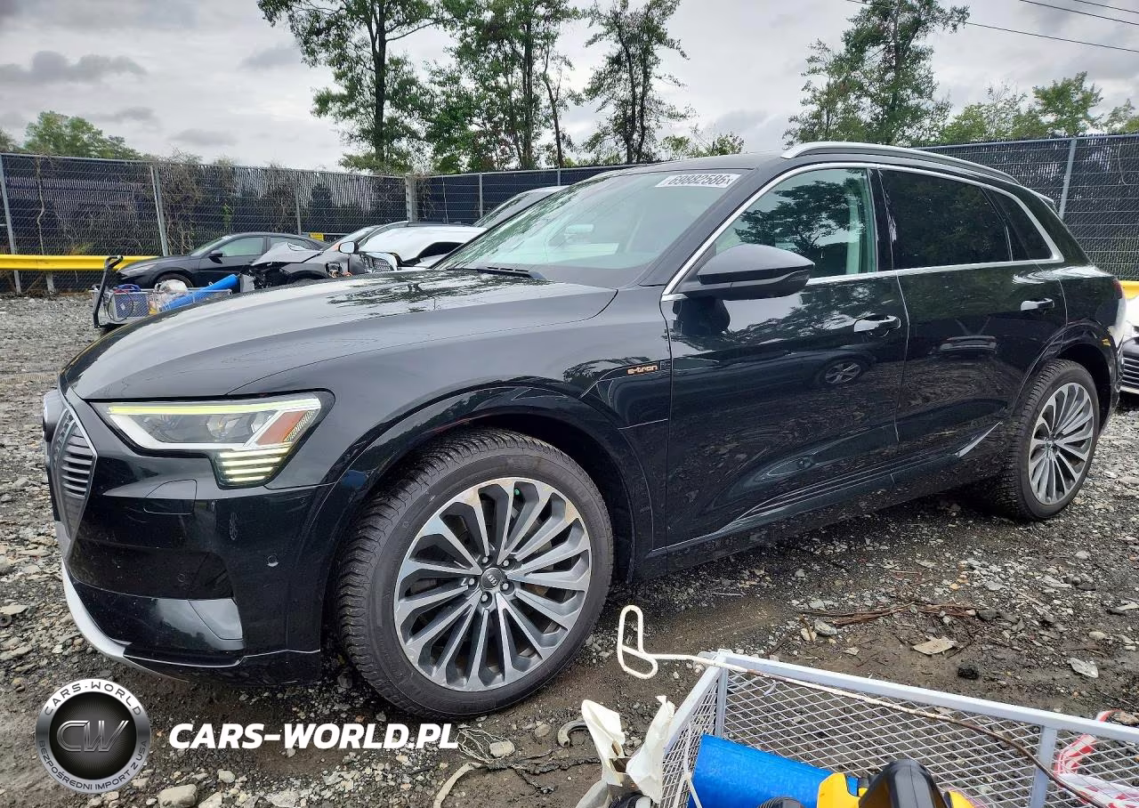 2019 Audi E-Tron Prestige