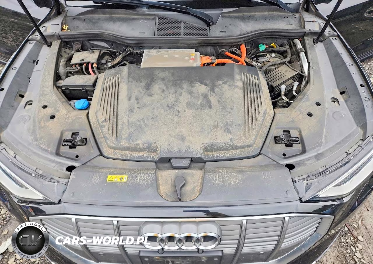 2019 Audi E-Tron Prestige VIN:WA1VAAGE9KB025085 - 12