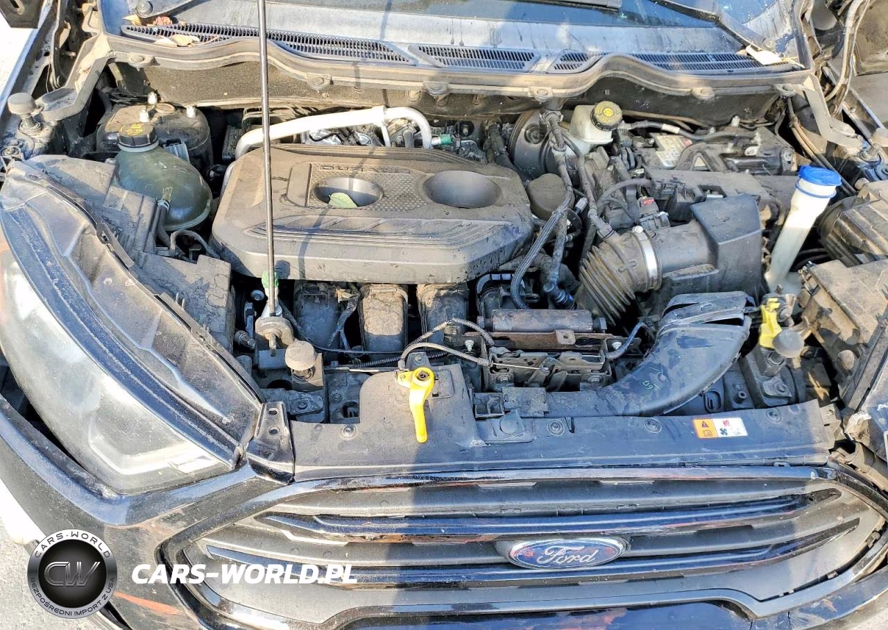 2019 Ford Ecosport Ses VIN:MAJ6S3JL6KC290086 - 12