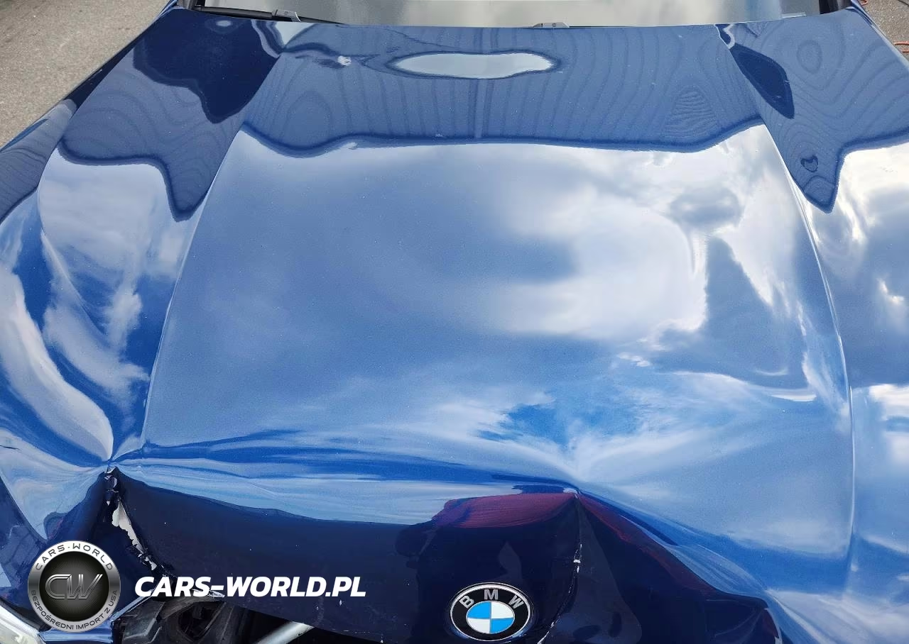 2021 BMW X3 Sdrive30I VIN:5UXTY3C02M9G13596 - 11
