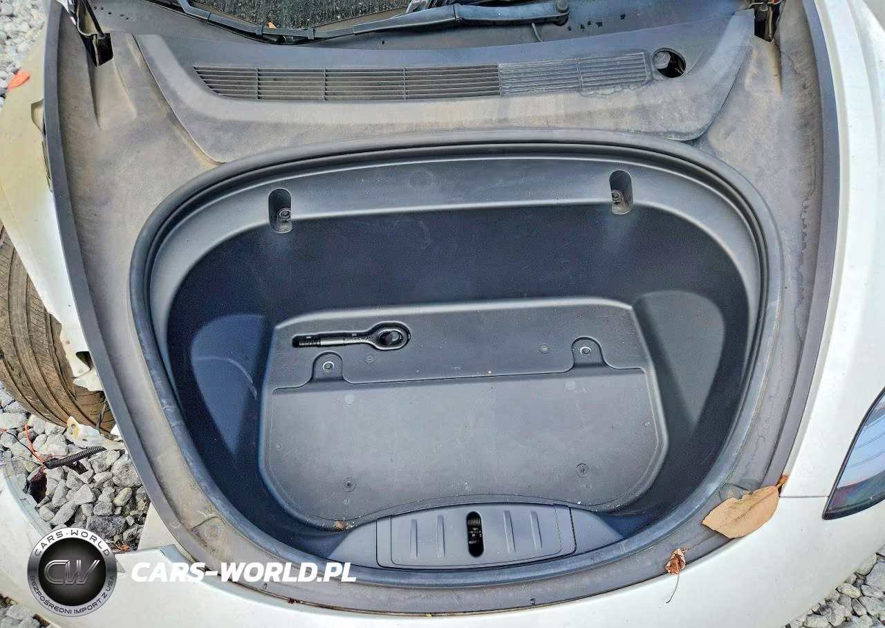 2020 Tesla Model 3 VIN:5YJ3E1EBXLF619659 - 11