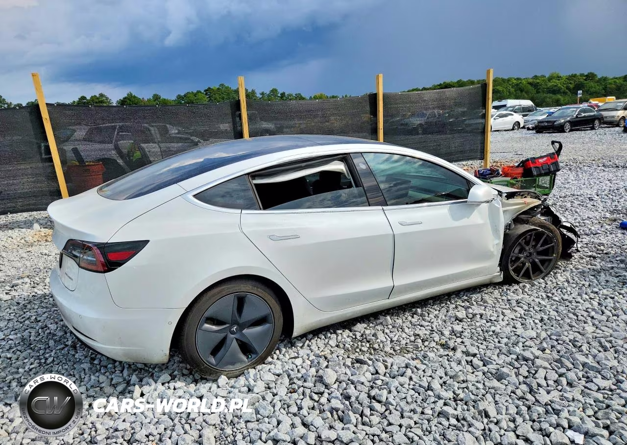 2020 Tesla Model 3 VIN:5YJ3E1EBXLF619659 - 3