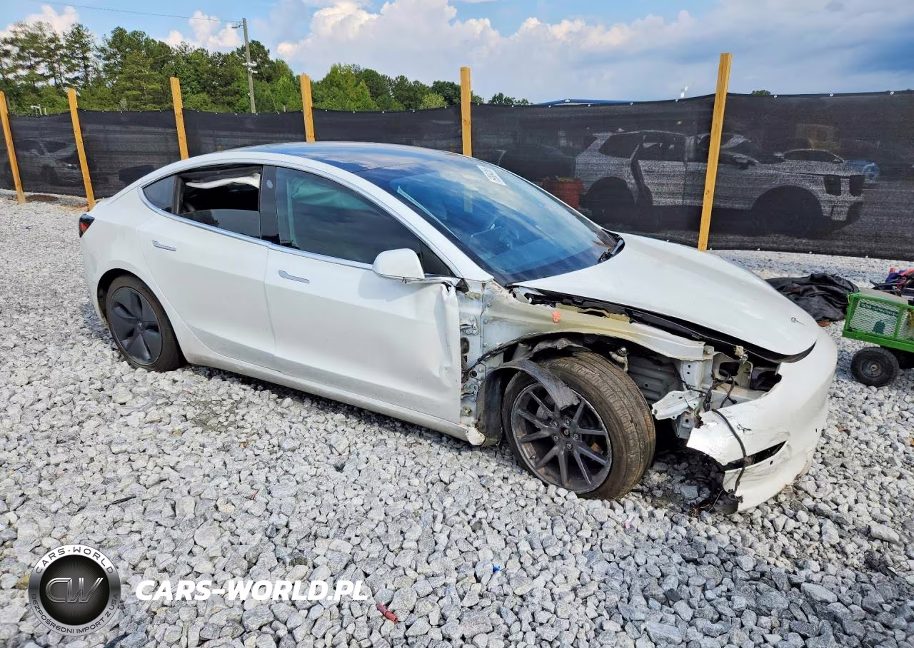 2020 Tesla Model 3 VIN:5YJ3E1EBXLF619659 - 4