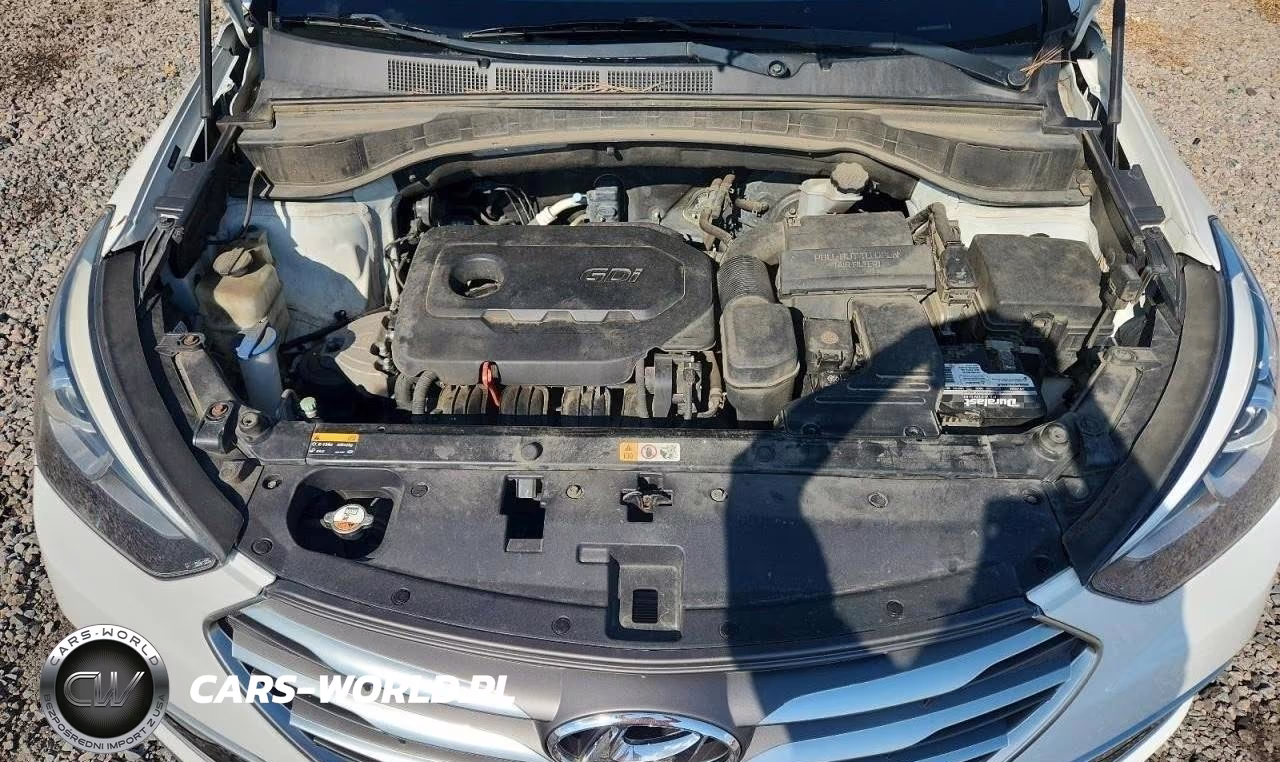 2017 Hyundai Santa Fe Sport 2.4L VIN:5NMZU3LB6HH011557 - 11