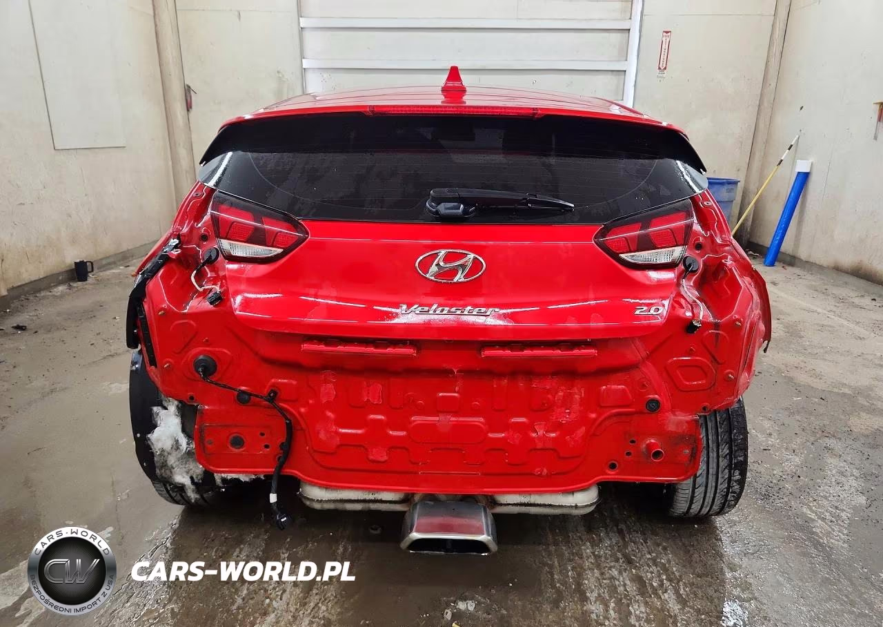 2019 Hyundai Veloster 2.0L VIN:KMHTG6AF2KU012656 - 6