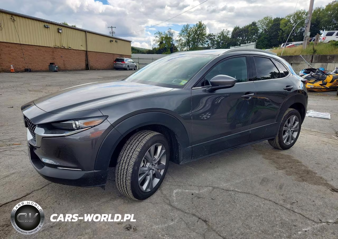 2025 Mazda Cx-30 Premium VIN:3MVDMBDM5SM838831 - 1