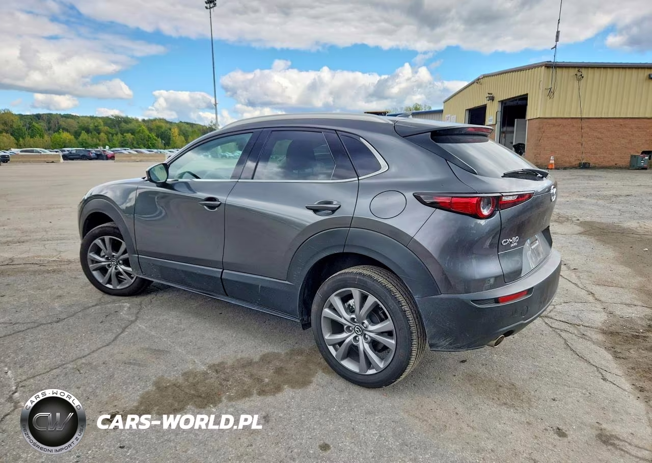 2025 Mazda Cx-30 Premium VIN:3MVDMBDM5SM838831 - 2