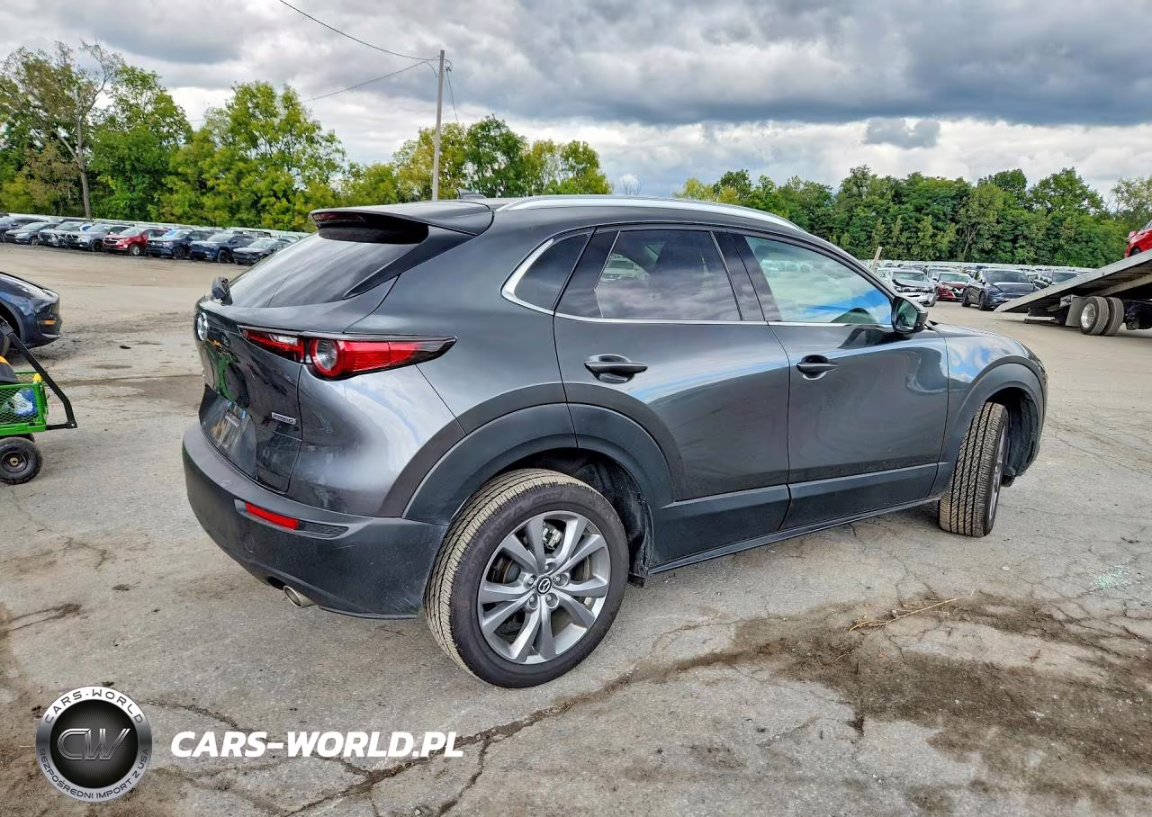 2025 Mazda Cx-30 Premium VIN:3MVDMBDM5SM838831 - 3
