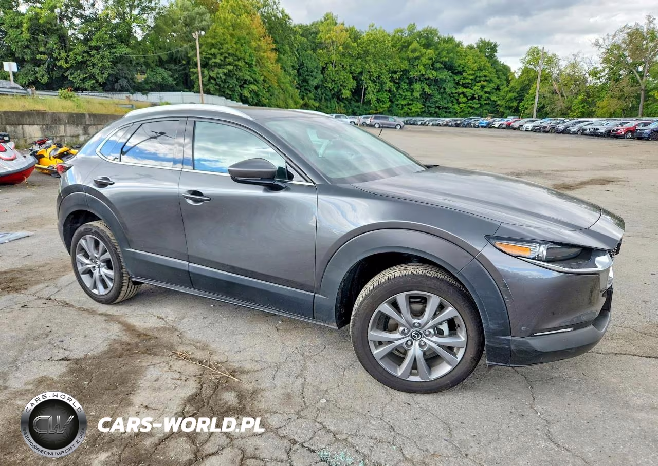 2025 Mazda Cx-30 Premium VIN:3MVDMBDM5SM838831 - 4