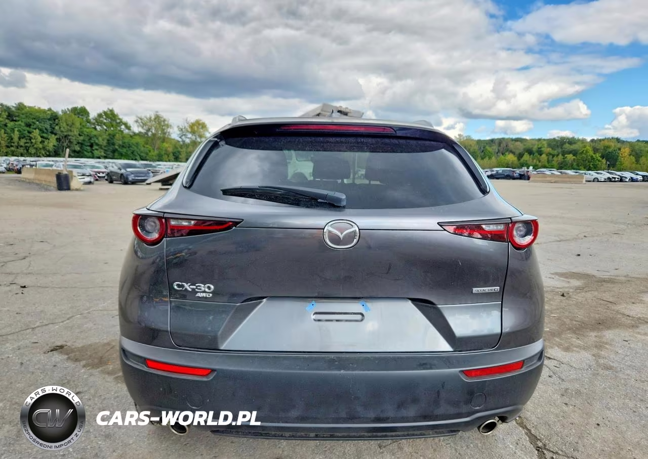 2025 Mazda Cx-30 Premium VIN:3MVDMBDM5SM838831 - 6