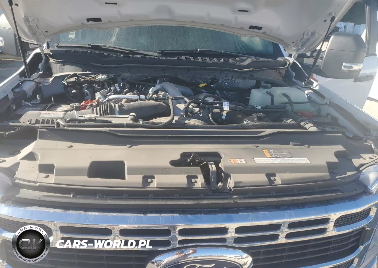 2023 Ford F550 Super Duty VIN:1FD0W5HT8PEC31960 - 11